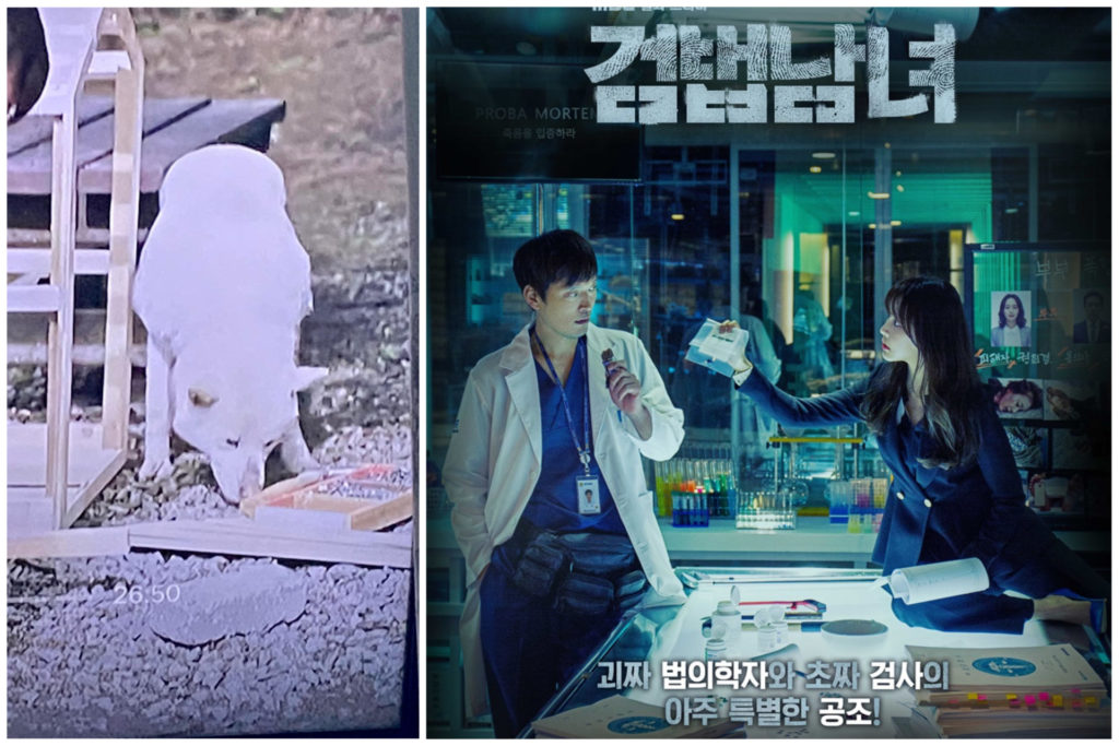 Koreańska drama "Partners For Justice" 